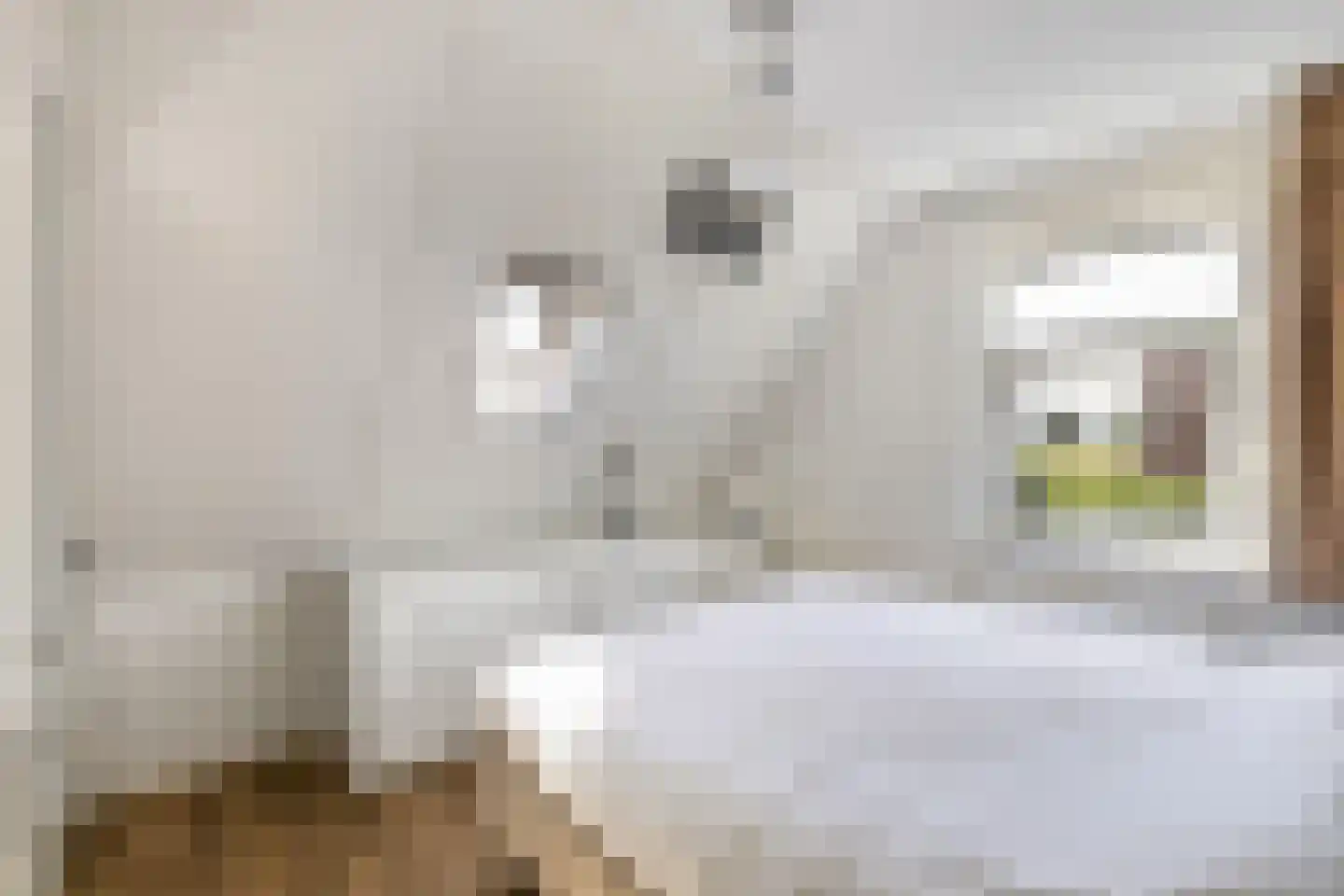 Rozenstraat 26 Luttelgeest thumbnail 6