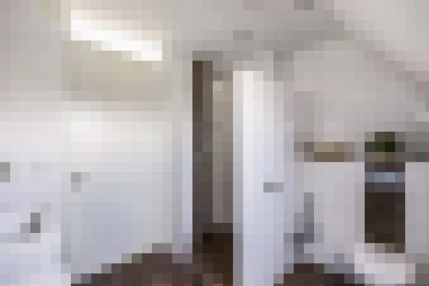 Rozenstraat 26 Luttelgeest thumbnail 7