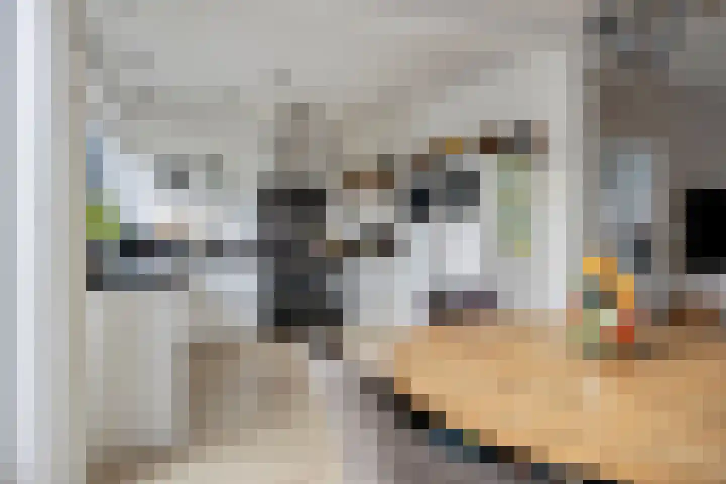 Rozenstraat 27 Putte thumbnail 16