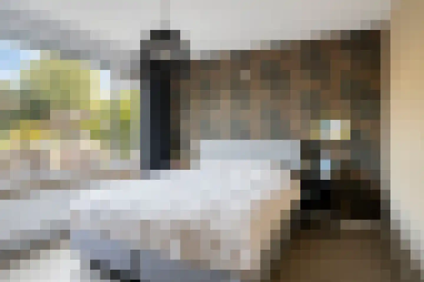 Rozenstraat 27 Putte thumbnail 19
