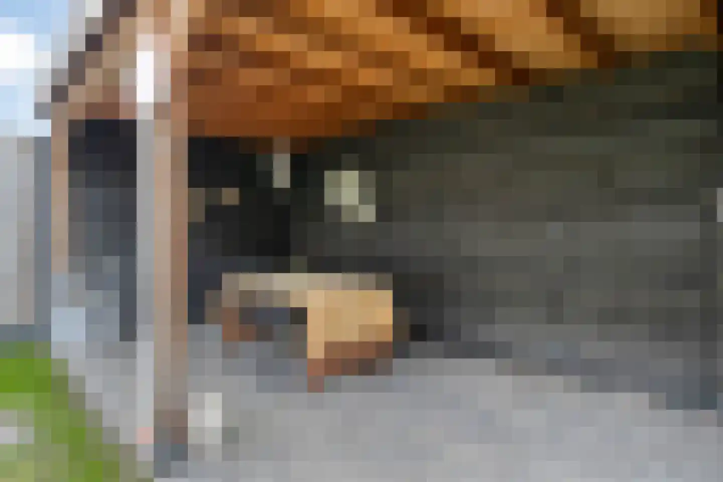 Rozenstraat 27 Putte thumbnail 31