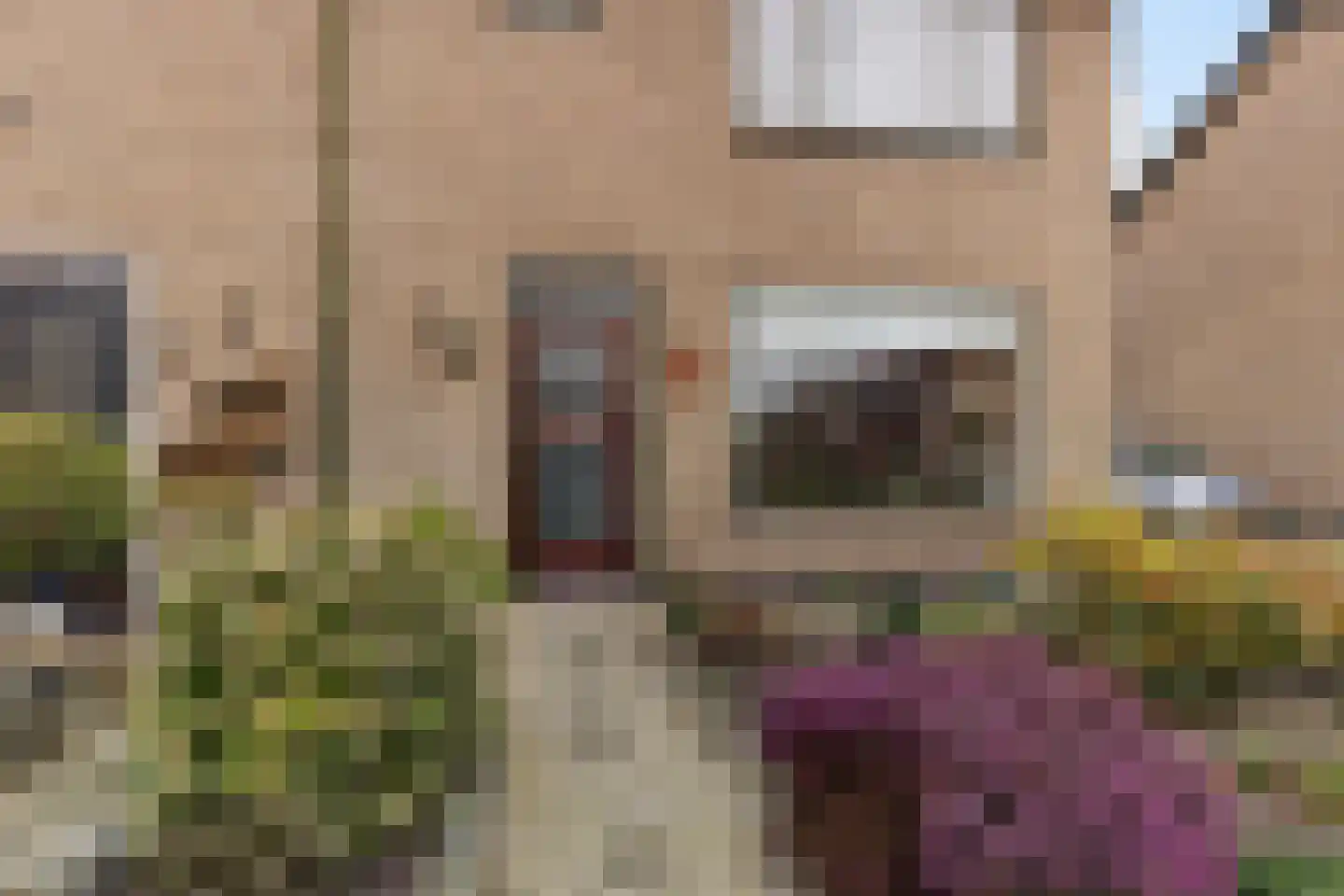 Rozenstraat 28 Wolvega thumbnail 22