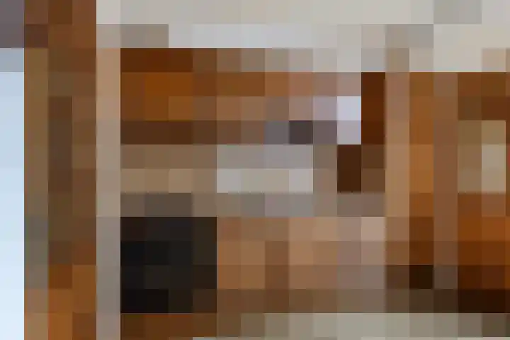 Rozenstraat 28 Wolvega thumbnail 9