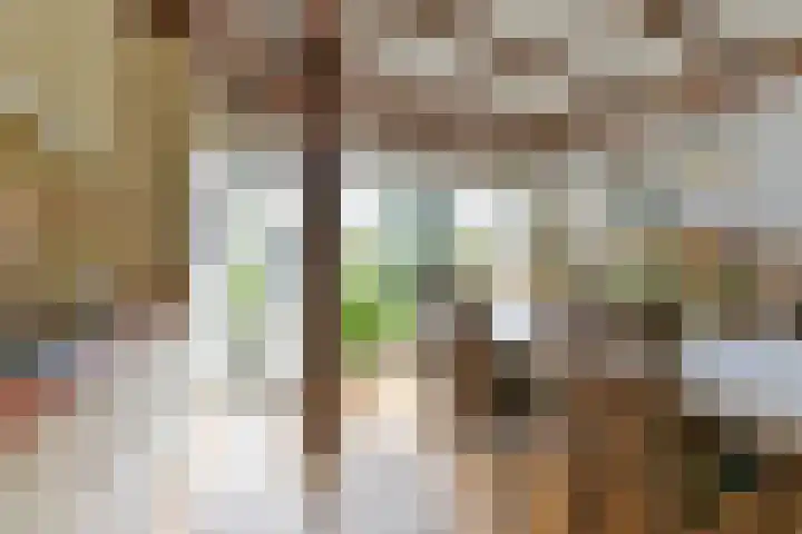 Rozenstraat 28 Zeist thumbnail 11