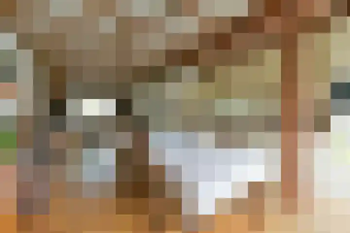 Rozenstraat 28 Zeist thumbnail 12