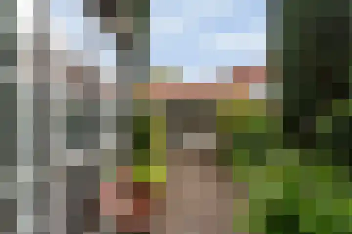 Rozenstraat 28 Zeist thumbnail 13