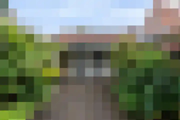 Rozenstraat 28 Zeist thumbnail 14