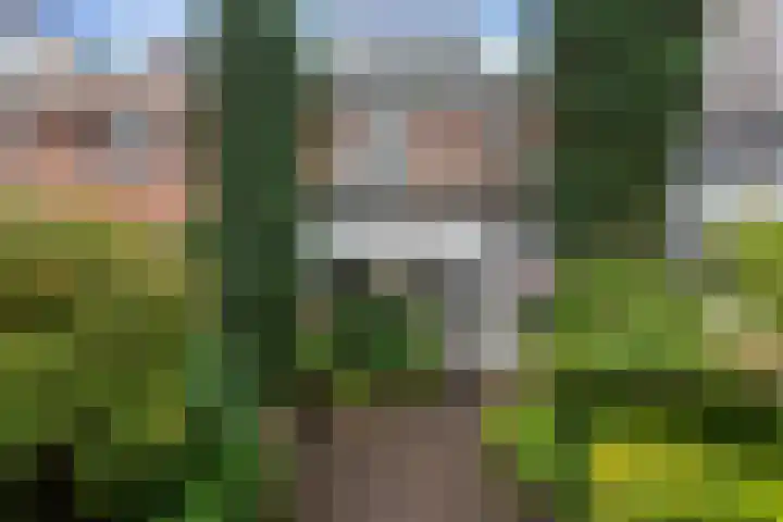 Rozenstraat 28 Zeist thumbnail 15