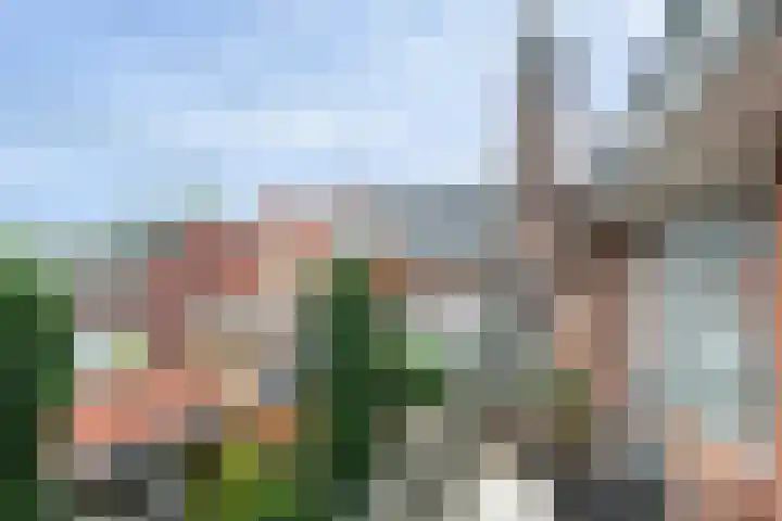 Rozenstraat 28 Zeist thumbnail 17