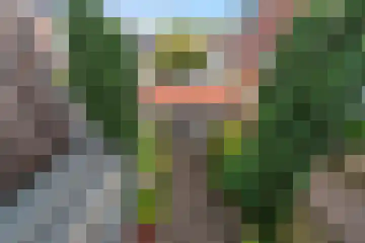 Rozenstraat 28 Zeist thumbnail 18