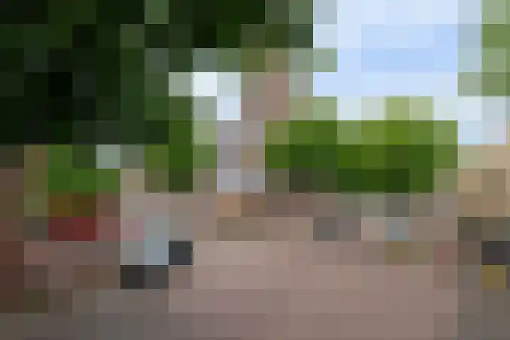 Rozenstraat 28 Zeist thumbnail 22