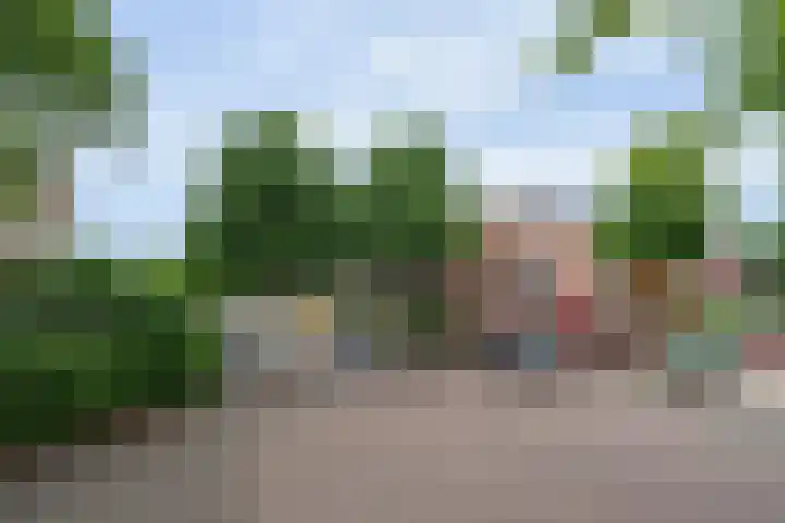 Rozenstraat 28 Zeist thumbnail 23