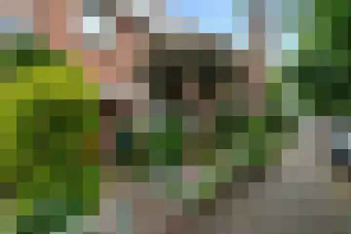 Rozenstraat 28 Zeist thumbnail 4