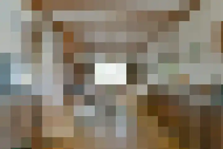 Rozenstraat 28 Zeist thumbnail 5