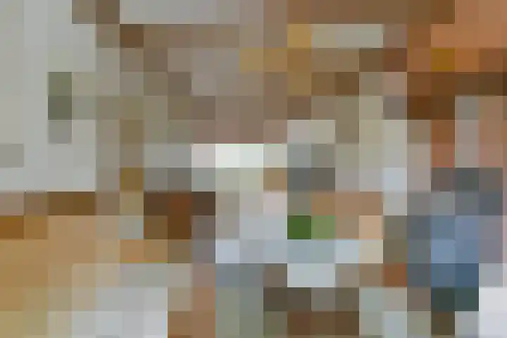 Rozenstraat 28 Zeist thumbnail 7