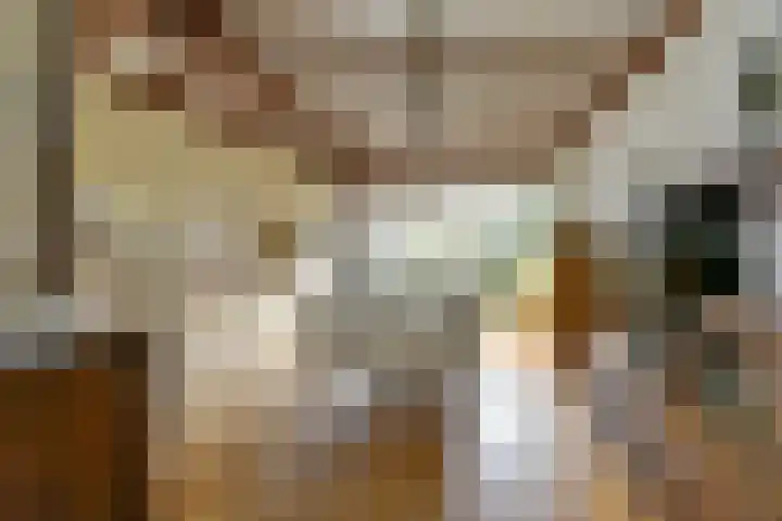 Rozenstraat 28 Zeist thumbnail 8