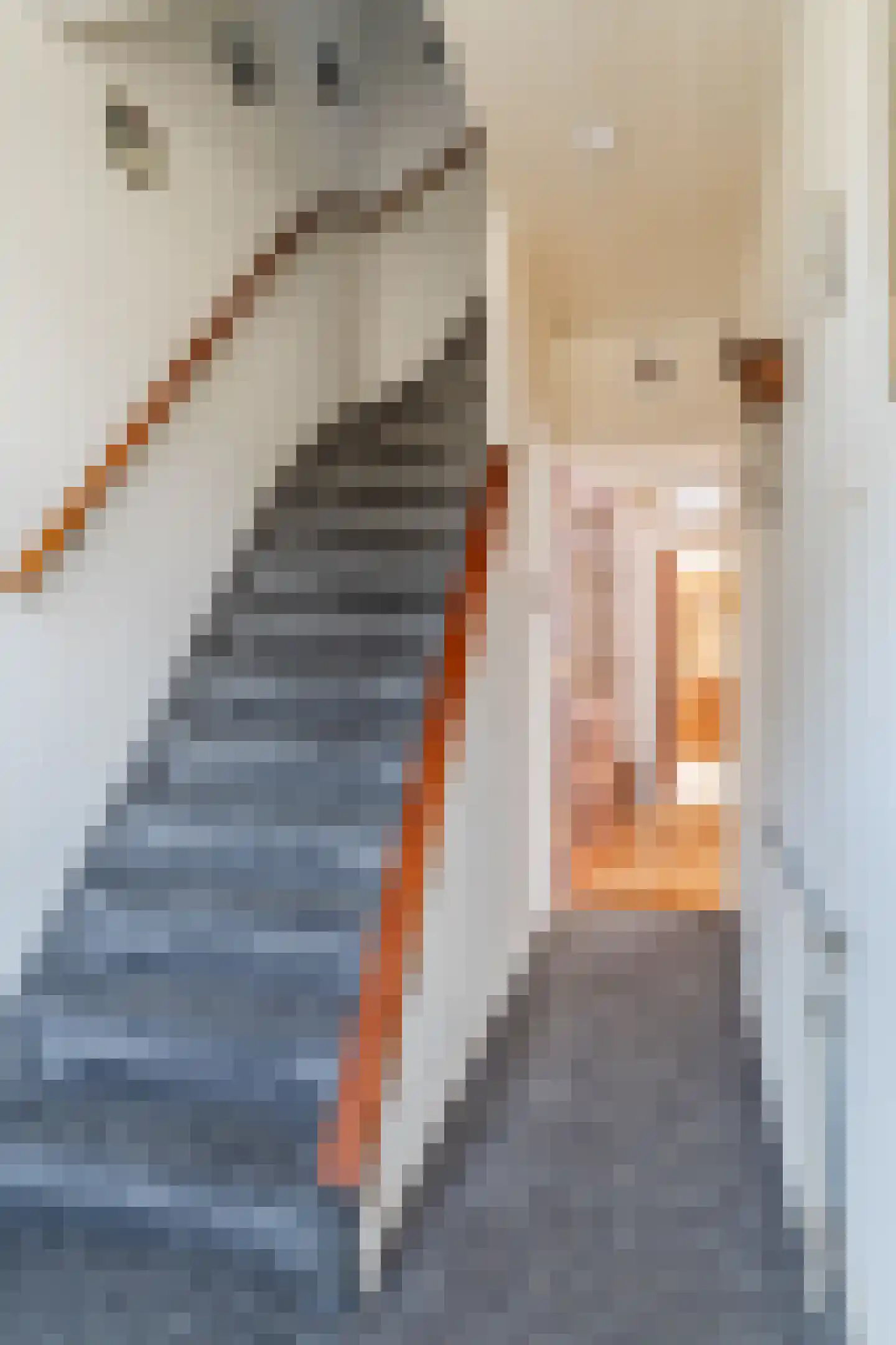 Rozenstraat 29 Tiel thumbnail 10