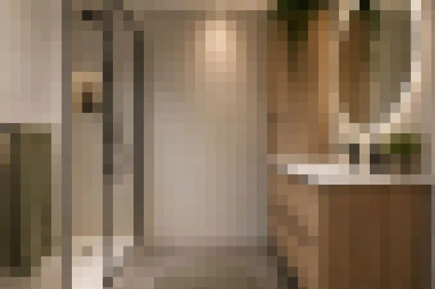 Rozenstraat 29 Tiel thumbnail 11