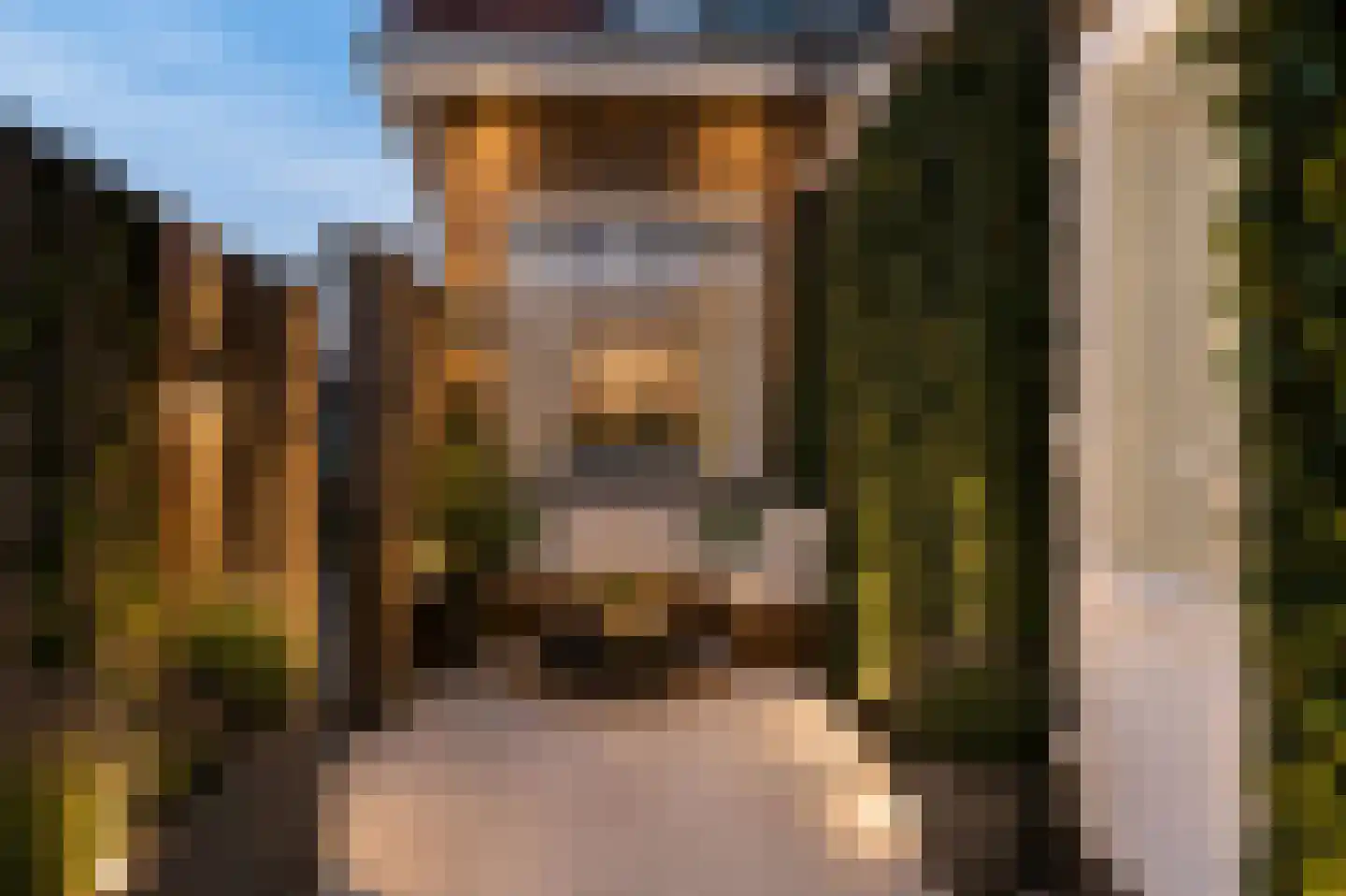 Rozenstraat 29 Tiel thumbnail 6
