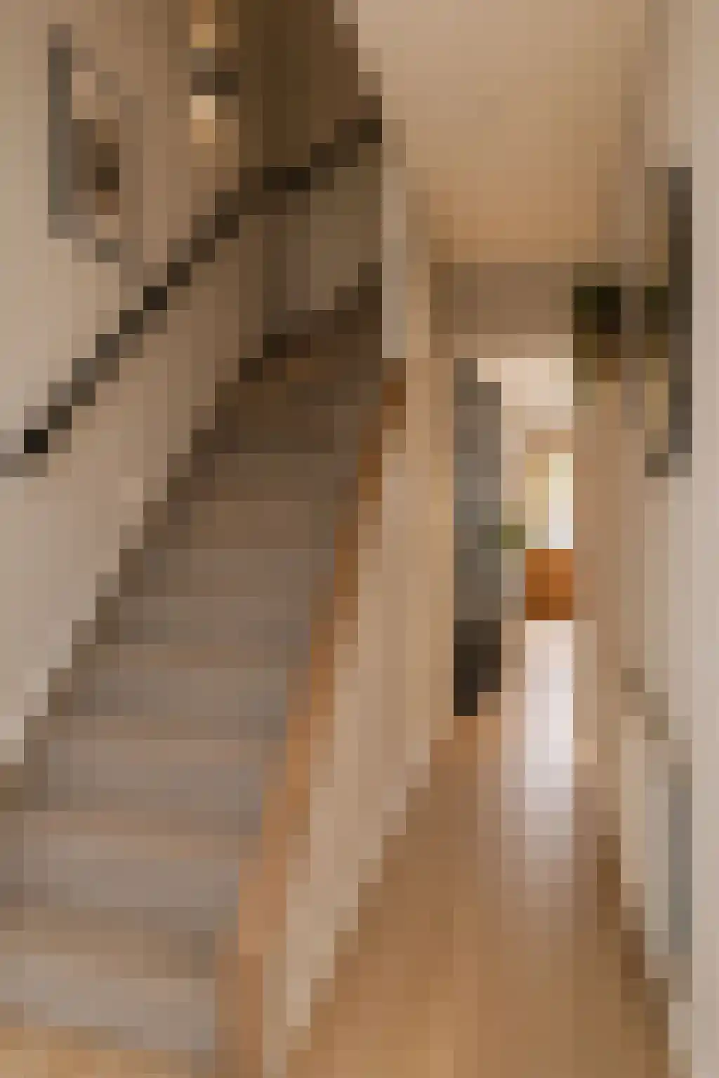 Rozenstraat 29 Tiel thumbnail 9