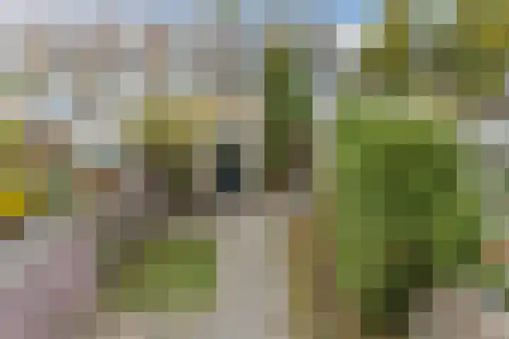 Rozenstraat 3 Badhoevedorp thumbnail 30