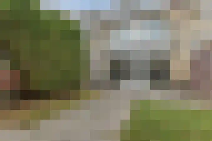 Rozenstraat 3 Badhoevedorp thumbnail 33