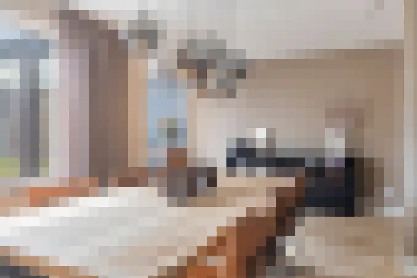 Rozenstraat 3 Graauw thumbnail 16