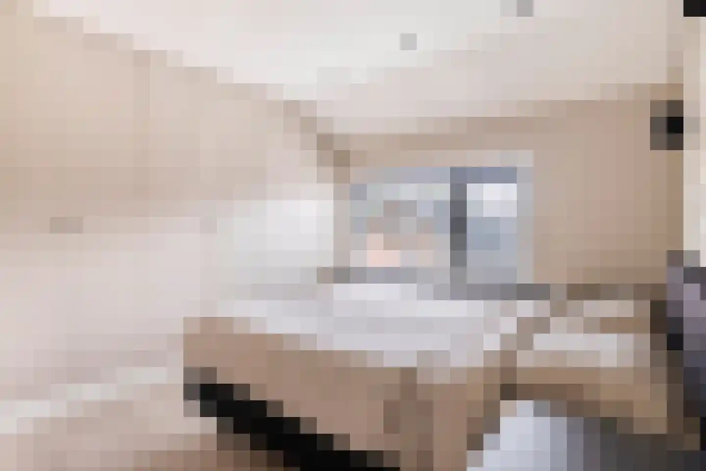 Rozenstraat 3 Graauw thumbnail 25
