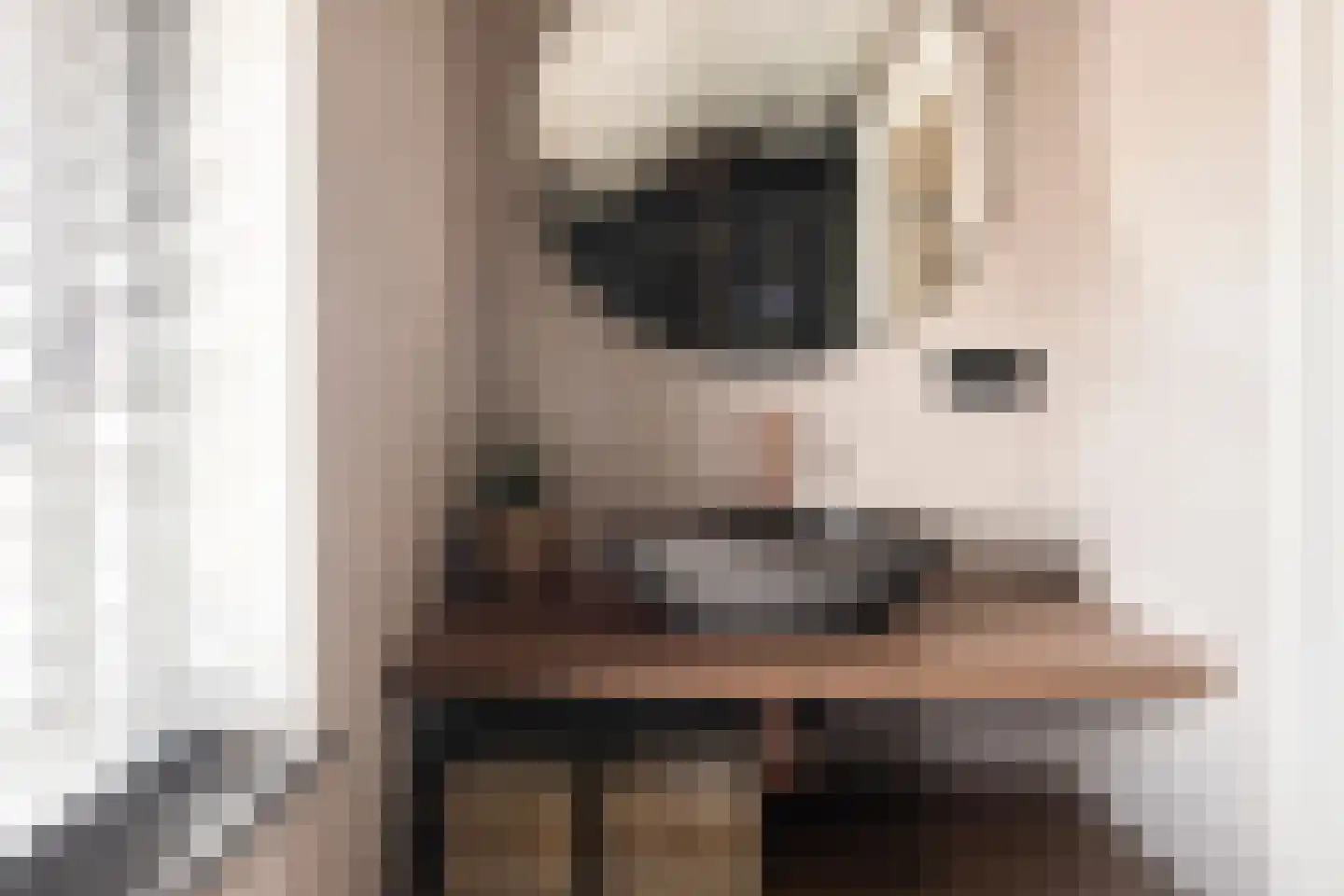 Rozenstraat 3 Graauw thumbnail 27