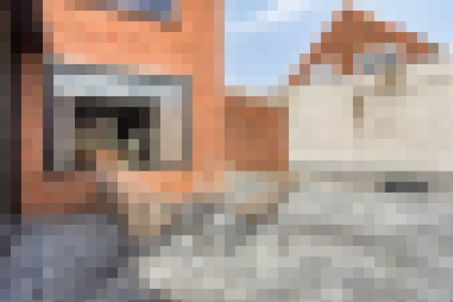 Rozenstraat 3 Graauw thumbnail 32