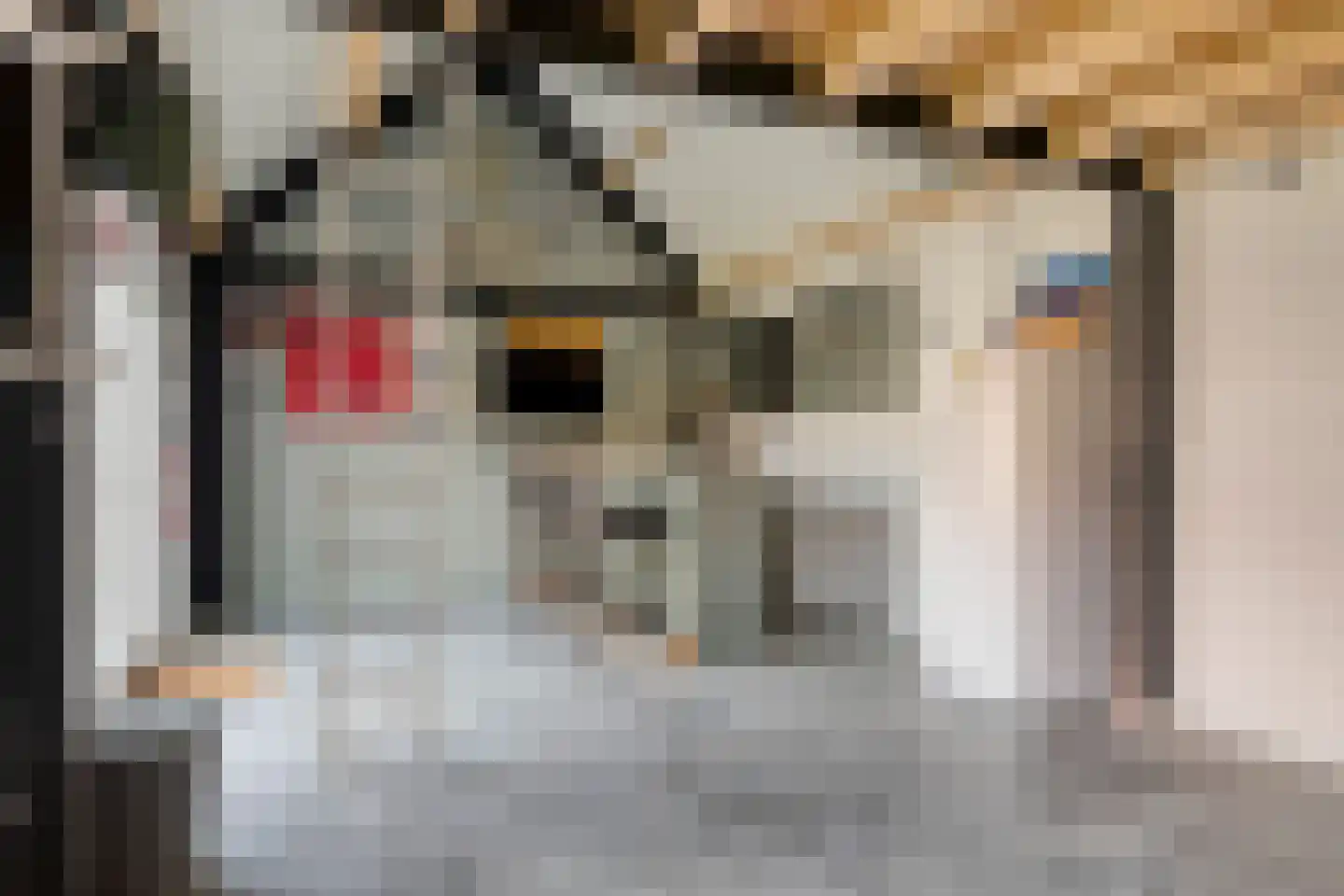 Rozenstraat 3 Graauw thumbnail 36