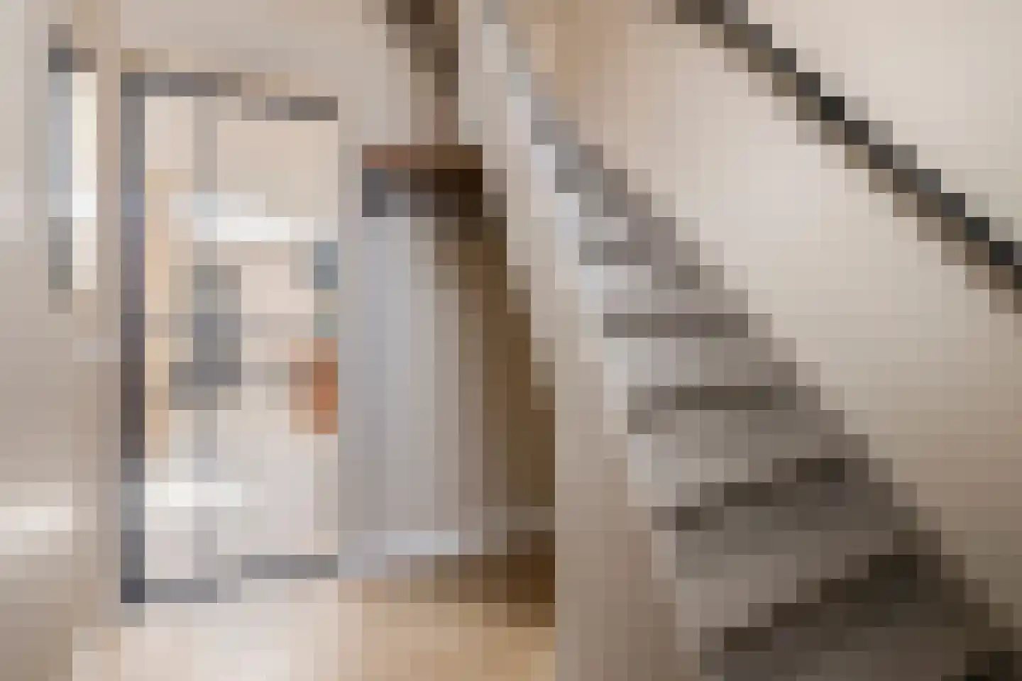 Rozenstraat 3 Graauw thumbnail 8