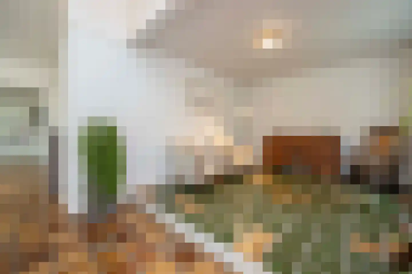 Rozenstraat 3 Oost West en Middelbeers thumbnail 16