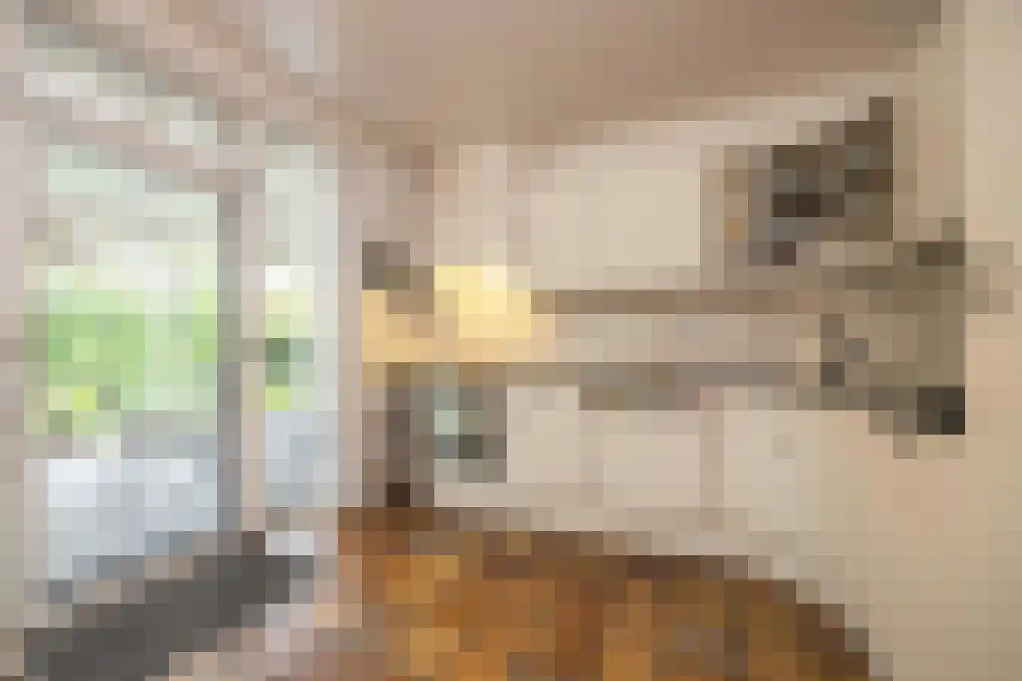 Rozenstraat 3 Oost West en Middelbeers thumbnail 24