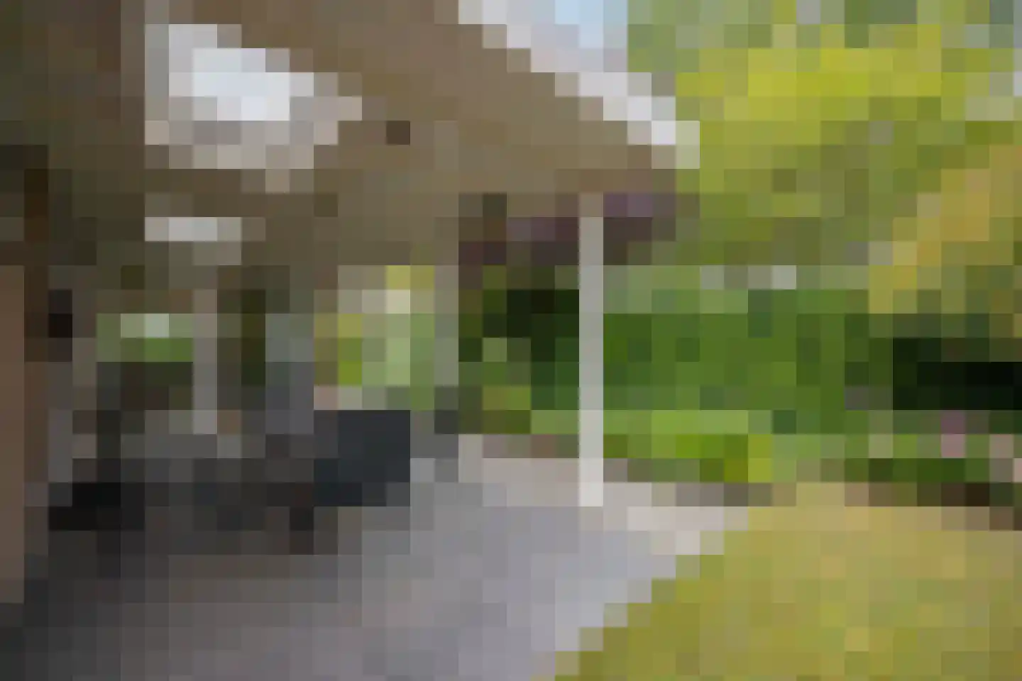 Rozenstraat 3 Oost West en Middelbeers thumbnail 38