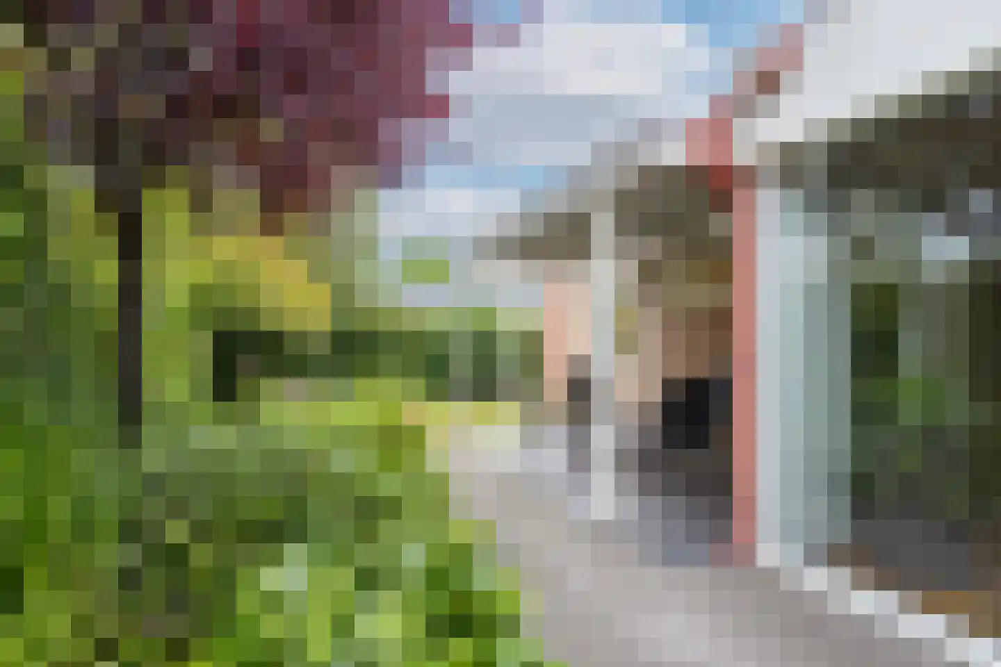 Rozenstraat 3 Oost West en Middelbeers thumbnail 42