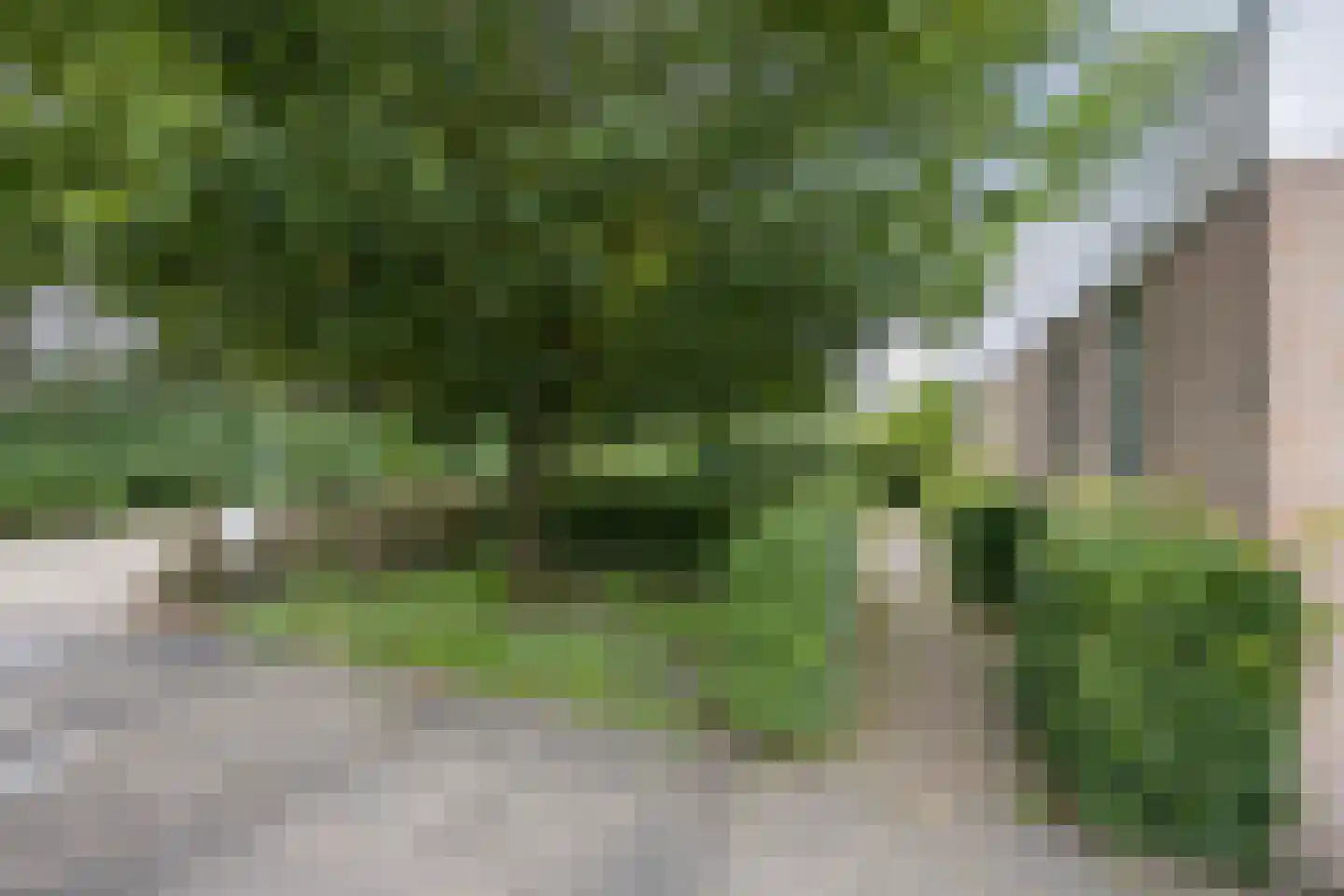 Rozenstraat 3 Oost West en Middelbeers thumbnail 44