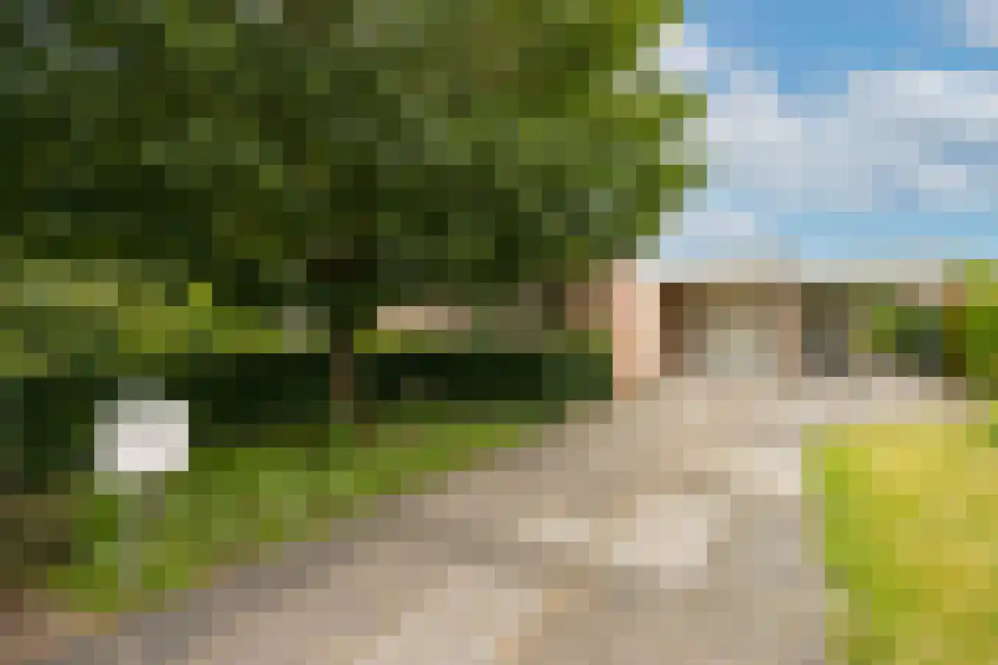 Rozenstraat 3 Oost West en Middelbeers thumbnail 6