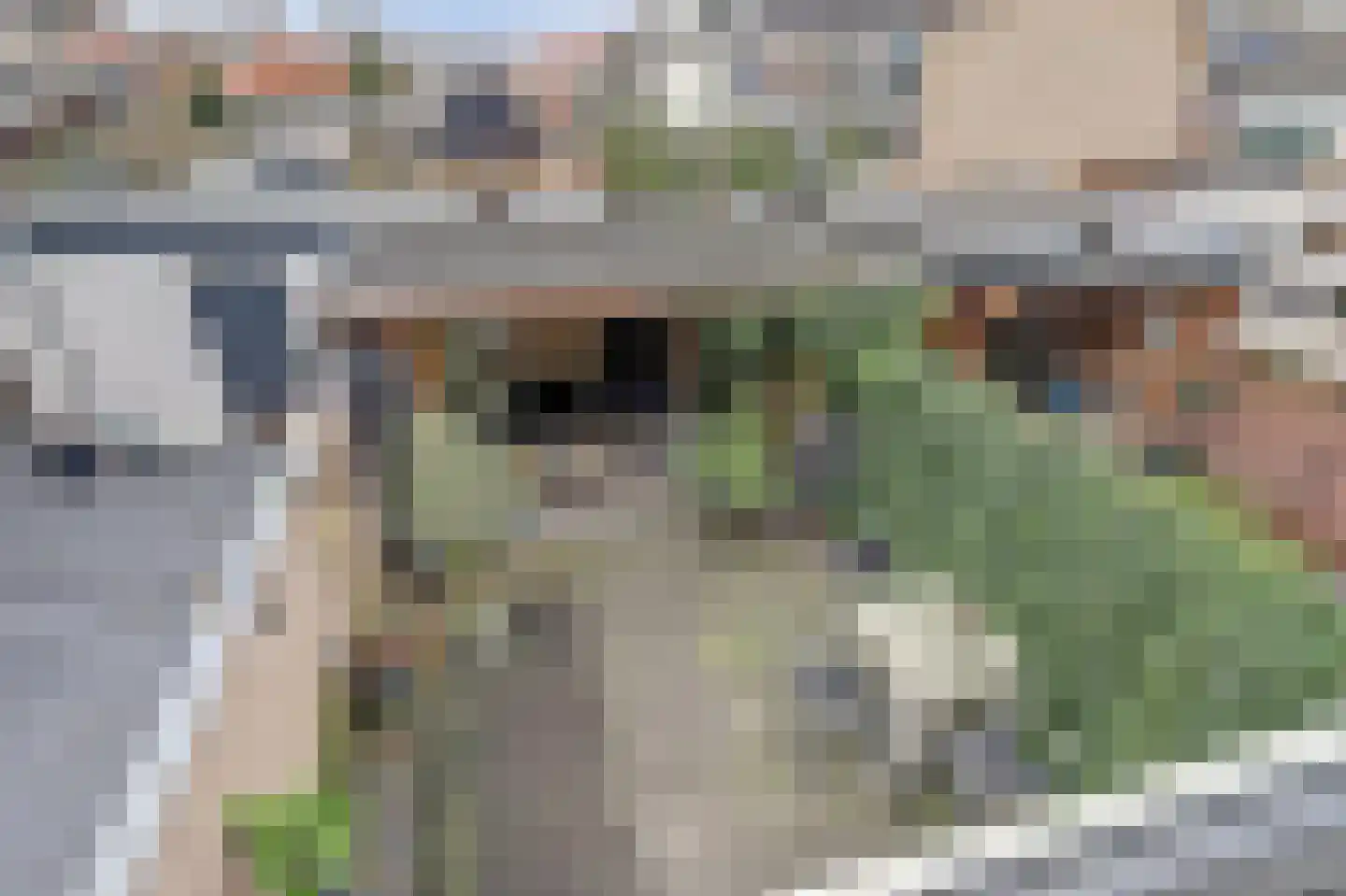Rozenstraat 30 Barneveld thumbnail 24