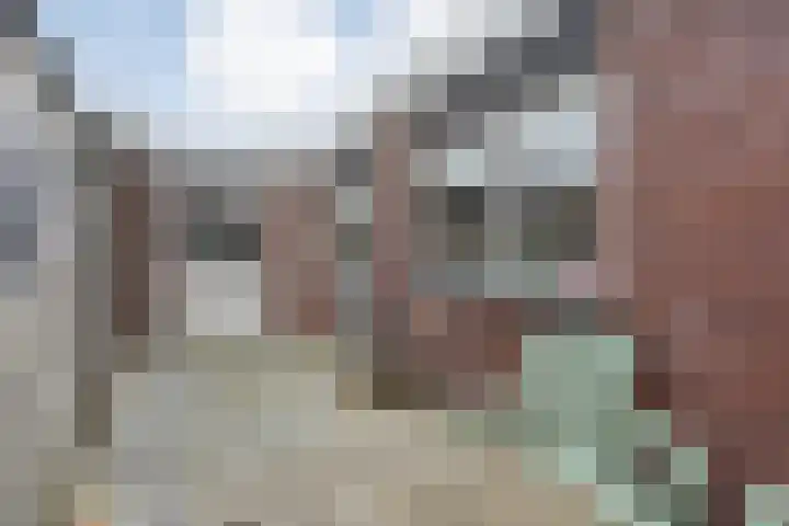 Rozenstraat 30 Meppel thumbnail 29