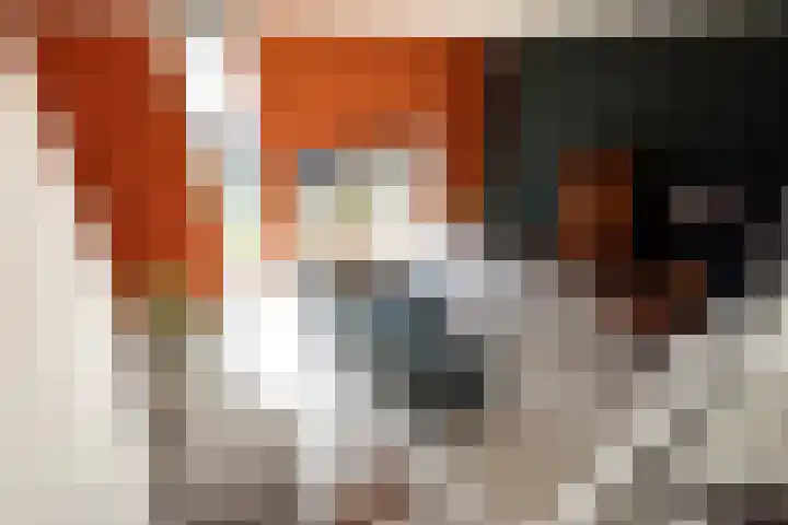 Rozenstraat 30 Papendrecht thumbnail 9