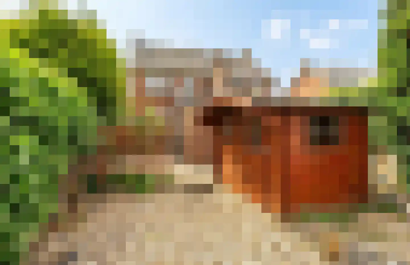 Rozenstraat 30 Tiel thumbnail 17