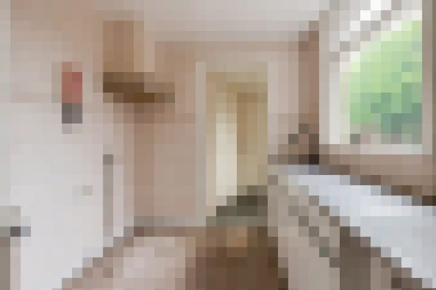Rozenstraat 30 Tiel thumbnail 8