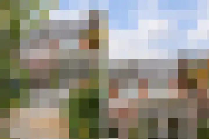 Rozenstraat 31 Alkmaar thumbnail 45