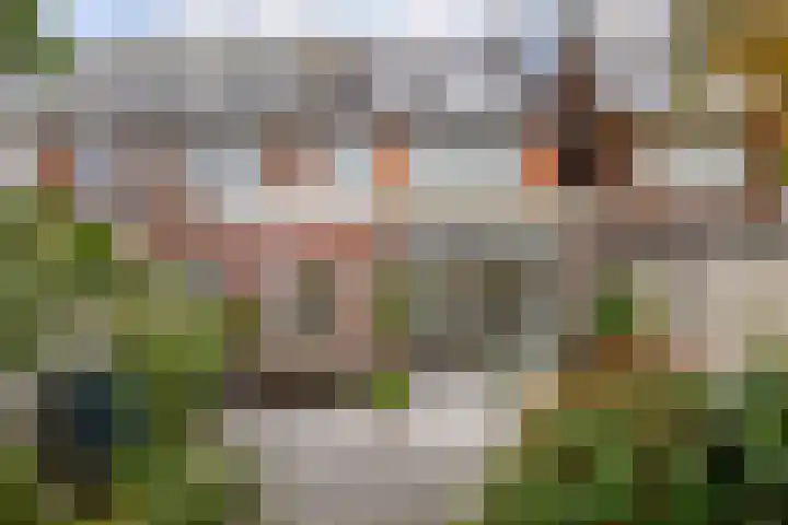 Rozenstraat 31 Alkmaar thumbnail 46