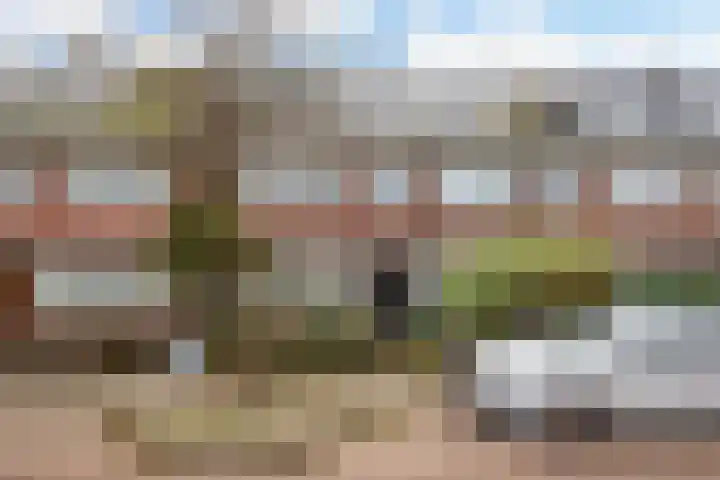 Rozenstraat 31 Alkmaar thumbnail 5