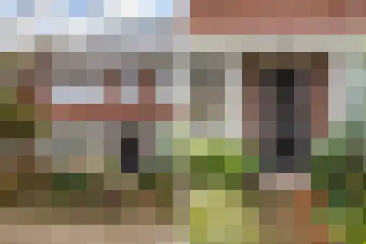 Rozenstraat 31 Alkmaar thumbnail 6