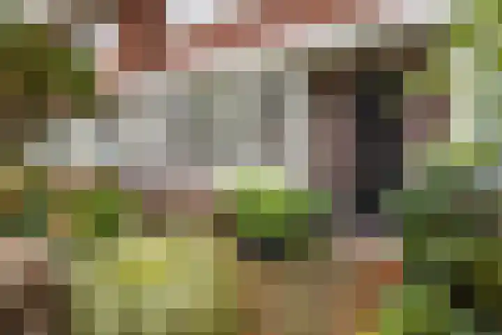 Rozenstraat 31 Alkmaar thumbnail 7
