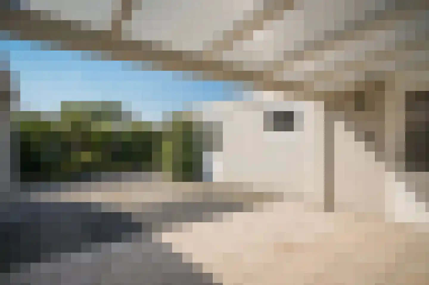 Rozenstraat 31 Beneden-Leeuwen thumbnail 23