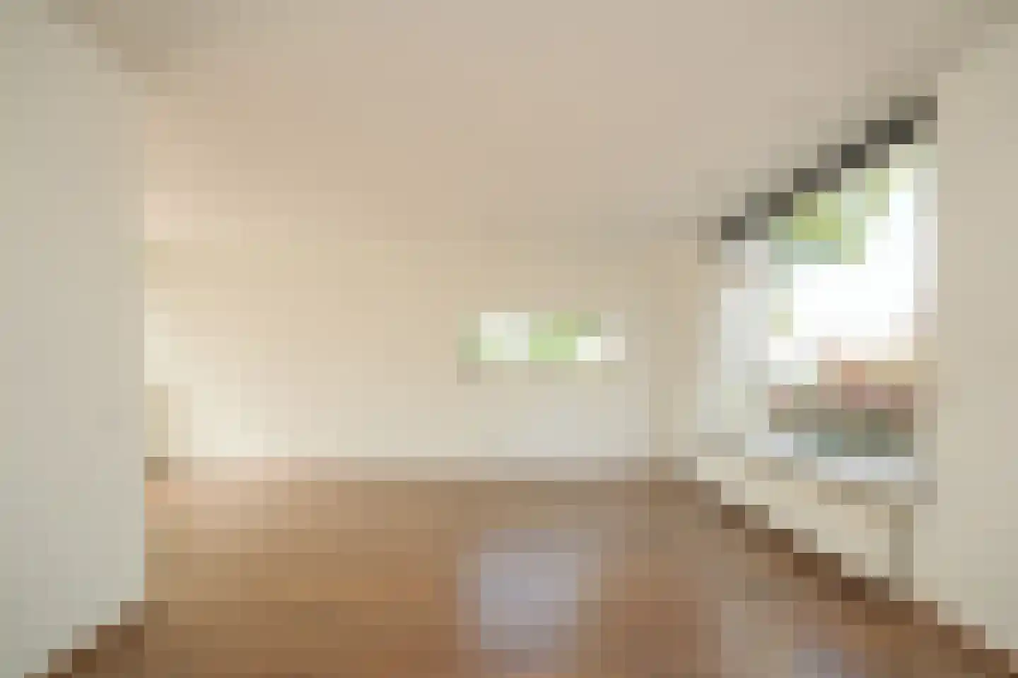 Rozenstraat 31 Beneden-Leeuwen thumbnail 4